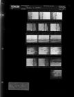 Person in Water (16 Negatives), May 5-9, 1967 [Sleeve 13, Folder e, Box 42]